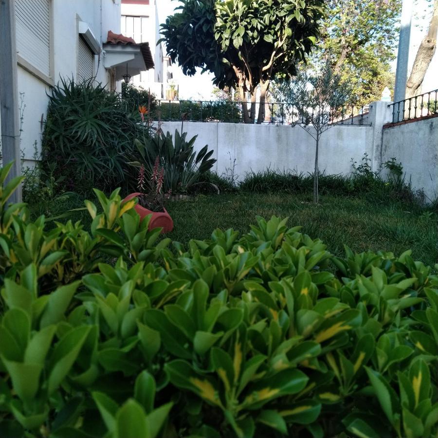 Tomarhousing - Garden Exterior photo